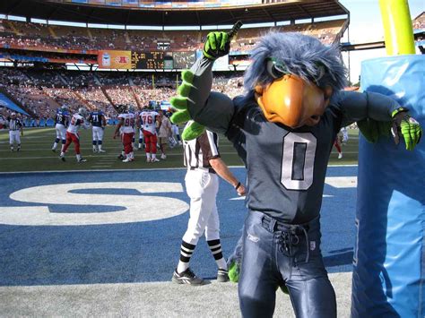 The Story Behind the Seattle Seahawks Mascots' Game Day Shenanigans